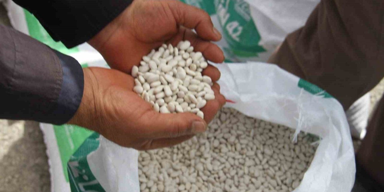 Konya’da “kuru Fasulye İle Beyaz Bahar” Projesi Hayata Geçiriliyor