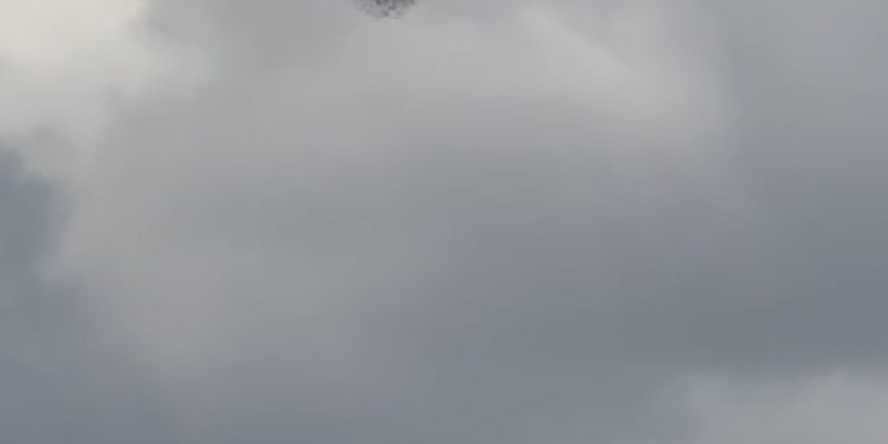 Sığırcıkların Dansı Büyüledi