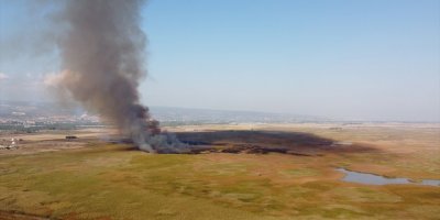 Mersin'deki Göksu Deltası'nda Yangın Çıktı