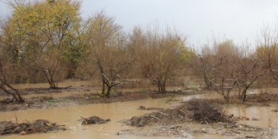 Antalya'da Kuvvetli Yağış Su Baskınlarını Getirdi