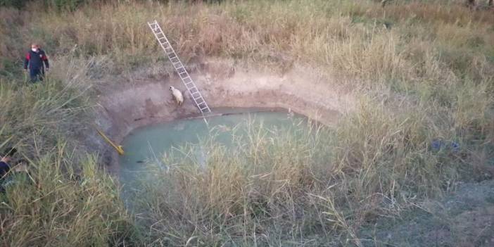 Ereğili'de Sulama Havuzunda Bir Çocuk Boğuldu