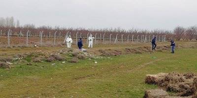 Karaman'da Cinayet