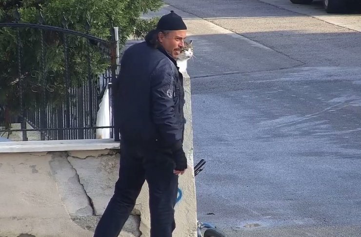 Vatandaşın Kediyle Muhabbeti