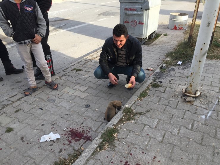 Konya'da Ehliyetsiz Sürücü Trafikte Dehşet Saçtı