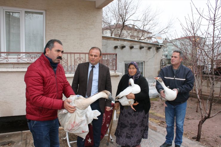 Aksaray'da Hindileri Çalınan Kadına Devlet Desteği