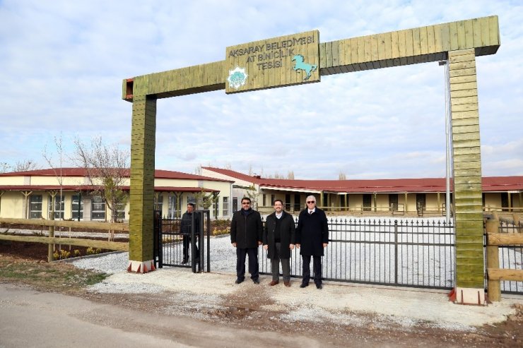 Aksaray'da Belediye Başkanı Haluk Yazgı At Binicilik Tesisinde İncelemelerde Bulundu