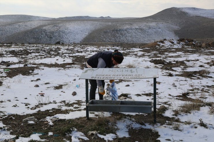 Niğde Belediyesi Sokak Hayvanları İçin Yem Bırakıyor