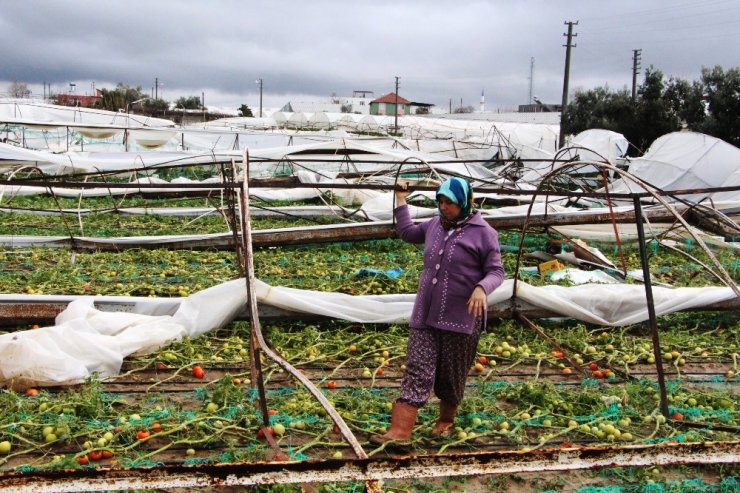 Antalya’da Hortumun Vurduğu Seralarda Servet Yatıyor