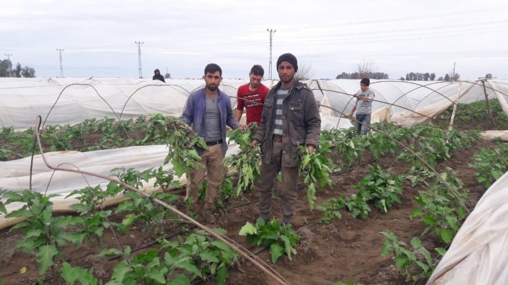 Mersin'de Hortum Seraları Vurdu