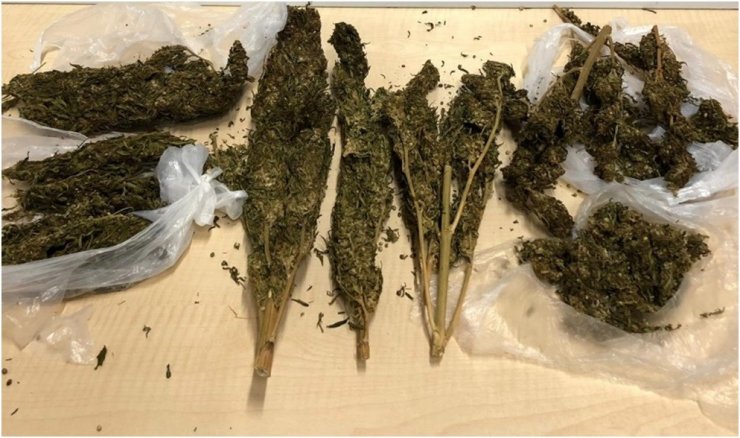 Mersin’de Aranan 49 Kişi Gözaltına Alındı