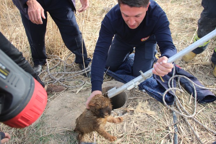 Konya'da Kuyuya Düşen Yavru Köpeği İtfaiye Kurtardı