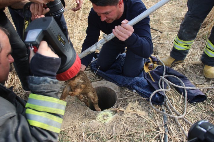 Konya'da Kuyuya Düşen Yavru Köpeği İtfaiye Kurtardı