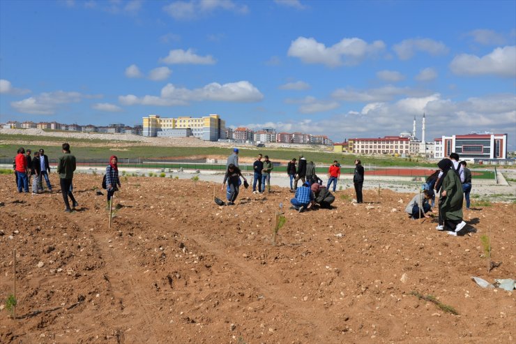 Yabancı Uyruklar KMÜ'de Fidan Dikti