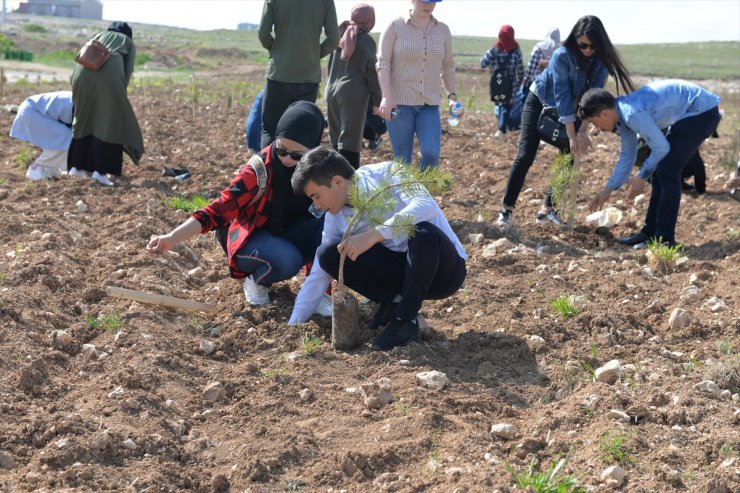 Yabancı Uyruklar KMÜ'de Fidan Dikti