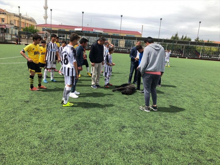 Karaman'da Oynanan Amatör Maçta Davetsiz Misafir