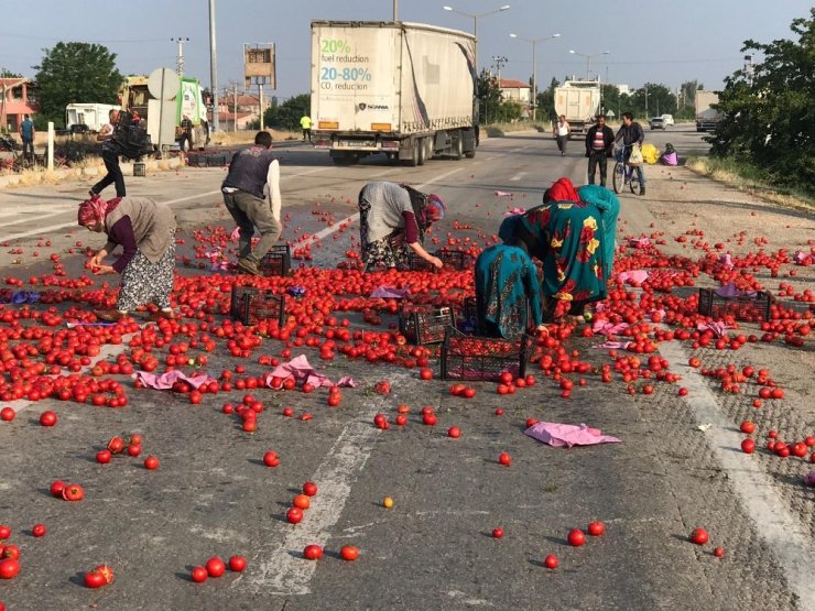 Ereğli Yolu Domates Tarlasına Döndü
