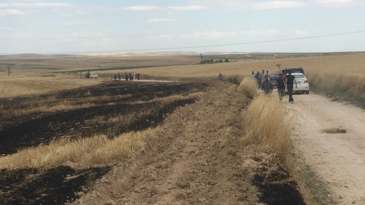 Akıma Kapılan Kuşlar Tarlayı Yaktı