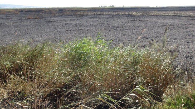 Silifke'de Göksu Deltası’nda Yangın Paniği