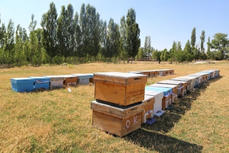 Ereğli'de Kadın Girişimcilere Başkan  Oprukçu'dan Tam Destek