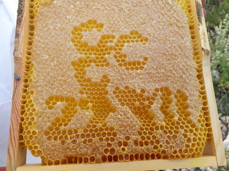 Devlet Bahçeli'nin Karaman Ziyareti Aşka Getirdi