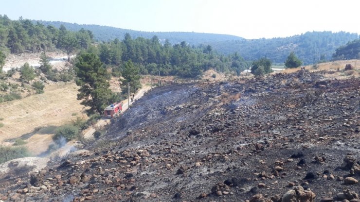 Kaş’ta Anız Yangını Büyümeden Söndürüldü