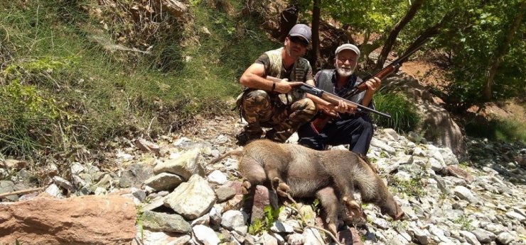 Karaman'da Avcıların Sürek Avları Devam Ediyor