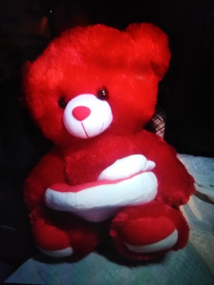 Ereğli'de Oyuncak Ayı İçinde Bomba Yakalandı