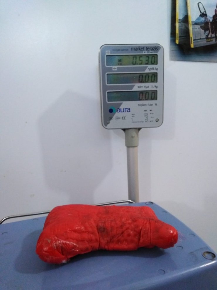 Ereğli'de Oyuncak Ayı İçinde Bomba Yakalandı