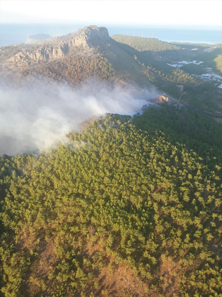Mersin'de orman yangını