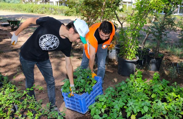 Türkiye'nin Yeşiline Üniversiteli Eller Değiyor