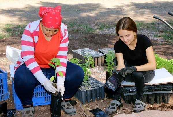 Türkiye'nin Yeşiline Üniversiteli Eller Değiyor