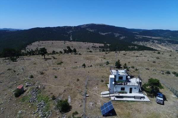 Bedensel Engelli İşçi Ömrünü Ormana Adadı
