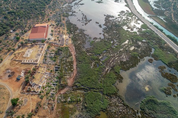 Bronz Tellerle Dikilmiş 