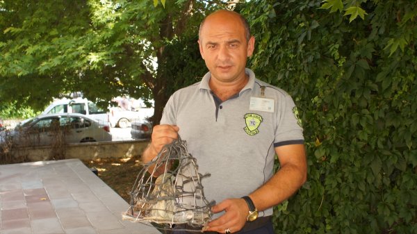 Yaralı Atmaca Tedavi Edilecek