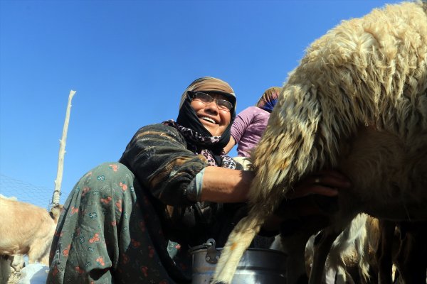 Teknolojiye Direnen Kadınlar 