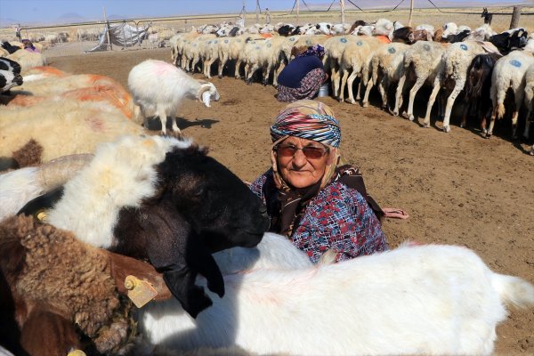 Teknolojiye Direnen Kadınlar 