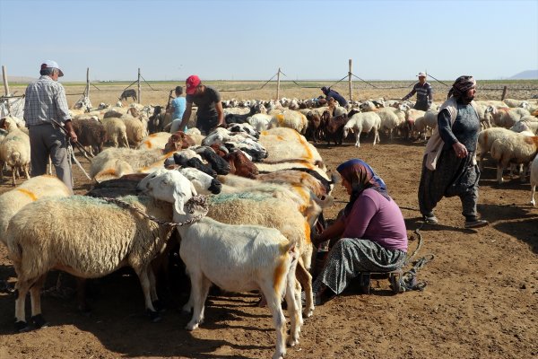 Teknolojiye Direnen Kadınlar 