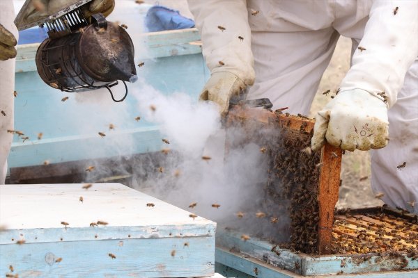 Haziran Yağışları Bal Üreticisinin Yüzünü Güldürdü