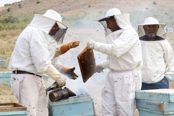 Haziran Yağışları Bal Üreticisinin Yüzünü Güldürdü