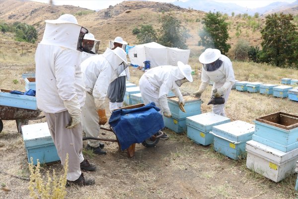 Haziran Yağışları Bal Üreticisinin Yüzünü Güldürdü