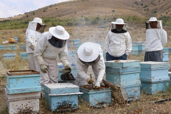 Haziran Yağışları Bal Üreticisinin Yüzünü Güldürdü