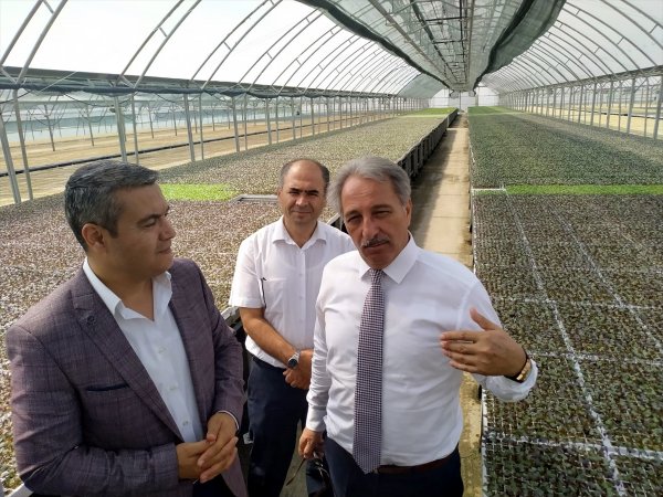 Vali Yardımcısı Erkılıç'tan Tarımsal İşletmelere Ziyaret