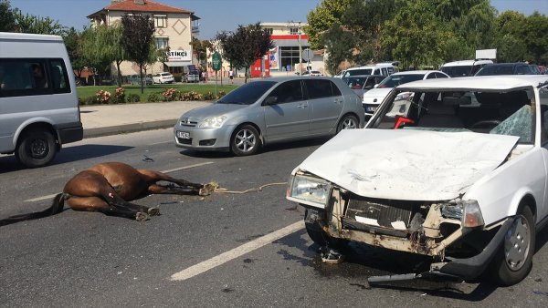 Eskişehir'de Otomobilin Çarptığı Başıboş İki At Telef Oldu