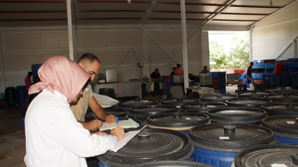 Çubuk’ta Turşu Üreticileri Denetlendi