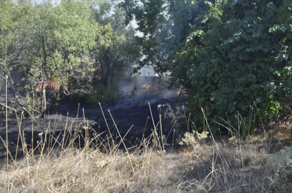 Seydişehir'de Meyve Bahçesinde Yangın
