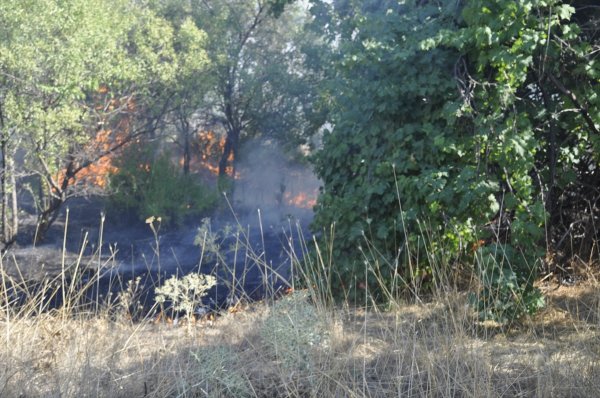 Seydişehir'de Meyve Bahçesinde Yangın