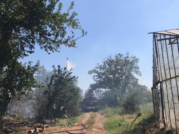Antalya'da Meyve Bahçesi Ve Çalılık Yangını