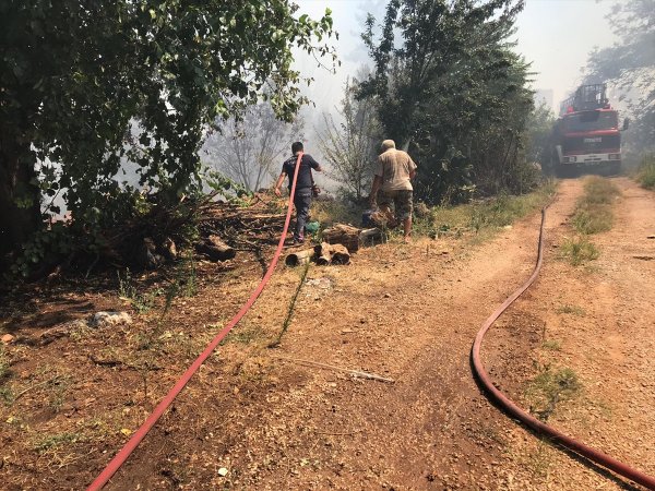 Antalya'da Meyve Bahçesi Ve Çalılık Yangını
