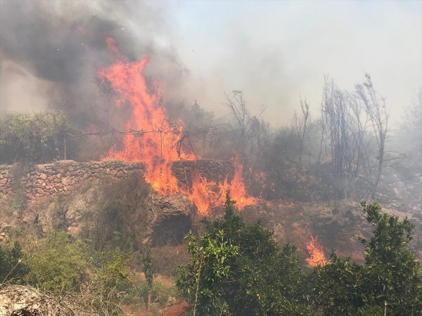 Antalya'da Meyve Bahçesi Ve Çalılık Yangını
