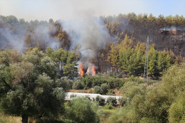 Antalya'da Orman Yangınları